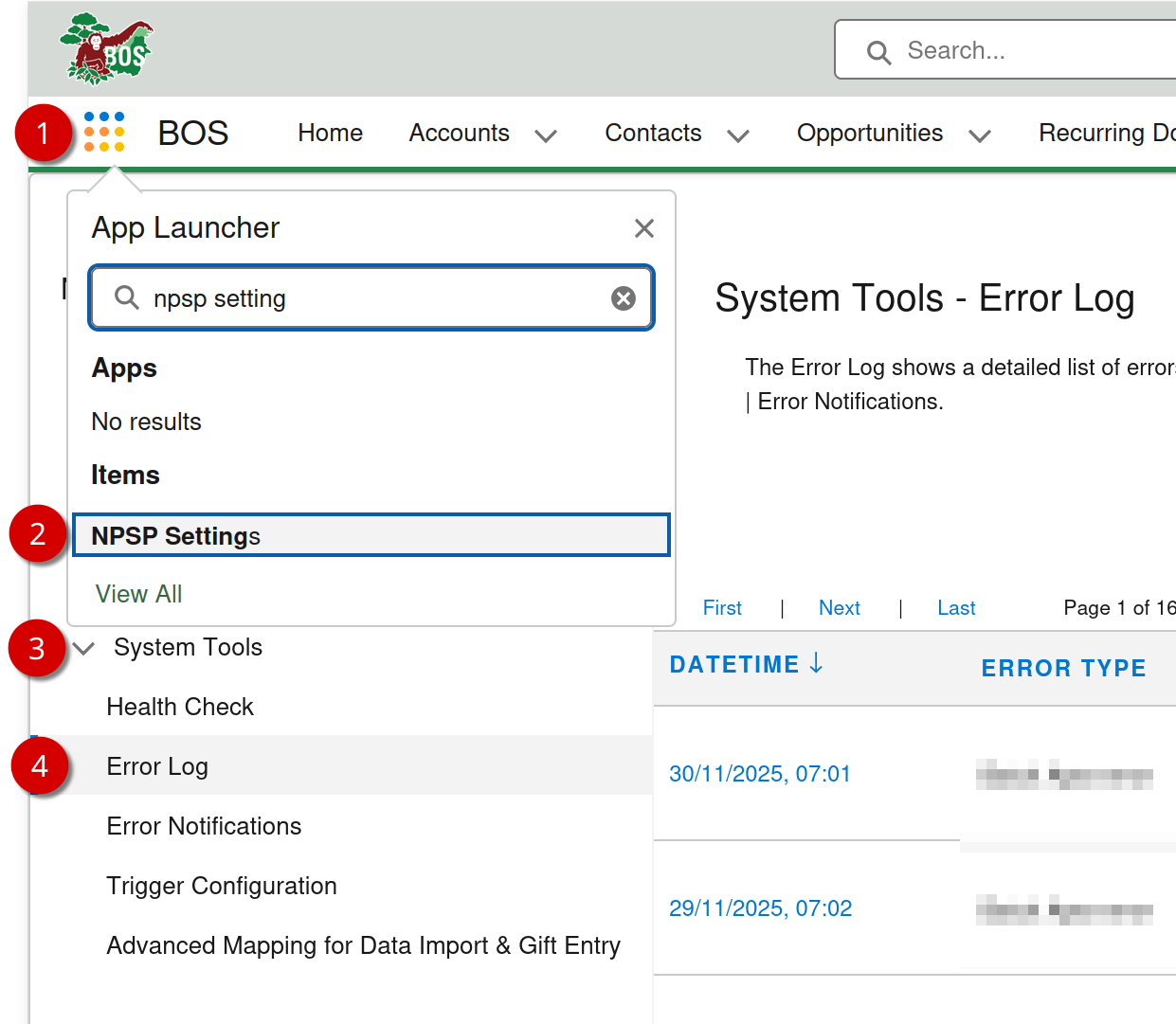 Salesforce NPSP Settings Error Log